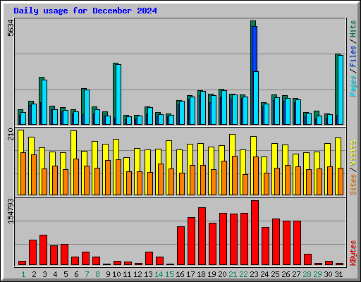 Daily usage for December 2024