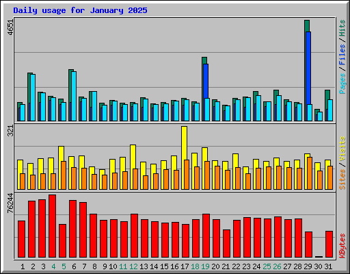 Daily usage for January 2025