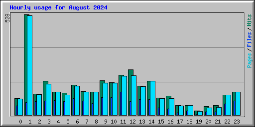 Hourly usage for August 2024