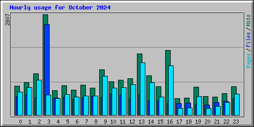 Hourly usage for October 2024