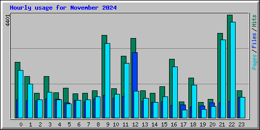 Hourly usage for November 2024