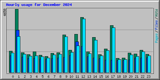 Hourly usage for December 2024