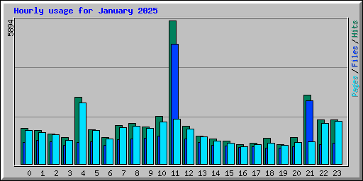 Hourly usage for January 2025