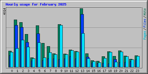 Hourly usage for February 2025