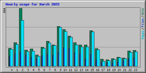 Hourly usage for March 2025