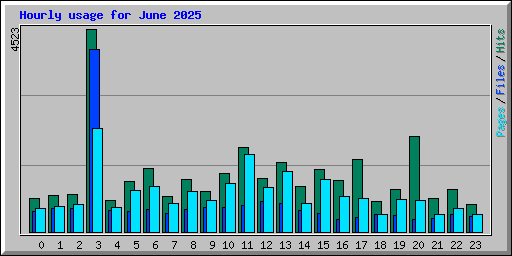 Hourly usage for June 2025