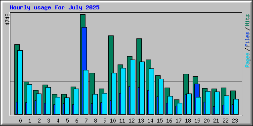 Hourly usage for July 2025
