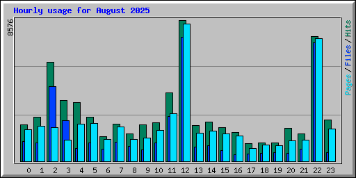 Hourly usage for August 2025