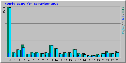 Hourly usage for September 2025