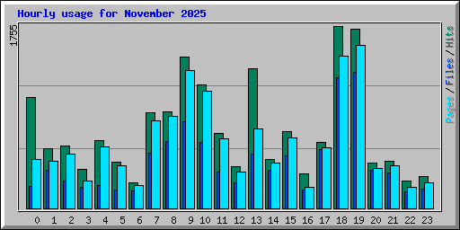 Hourly usage for November 2025