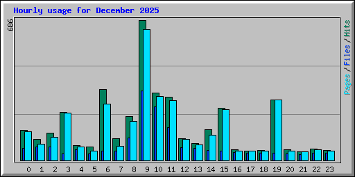 Hourly usage for December 2025