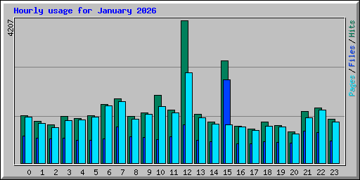 Hourly usage for January 2026